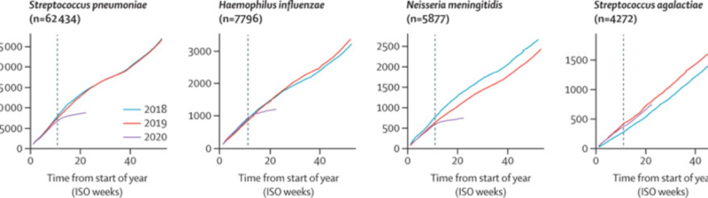 Graph showing lockdown significantly reducing transmission of invasive bacterial diseases graph showing lockdown significantly reducing transmission of invasive bacterial diseases (Credit Martin Maiden)