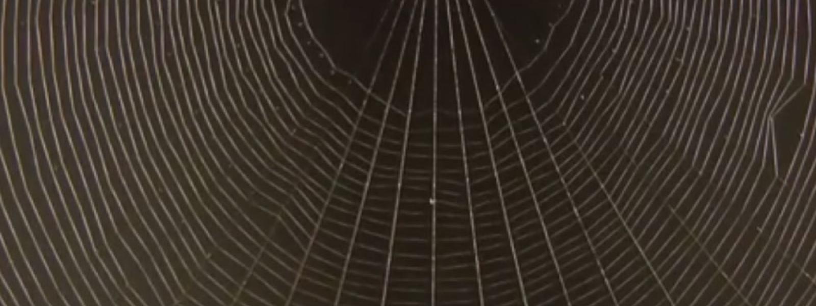 Spider web hero spider web hero