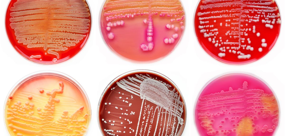 How can evolutionary biology help to get rid of antibiotic resistant